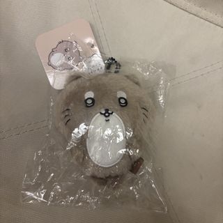 由 amberr_16 (刊登 ID 1448877850，圖片 1) 提交，位於 的 (類別：)，說明：。