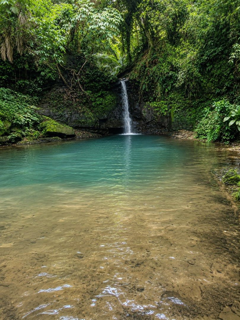 Farmlot for Sale (Category: Lot) located in Alfonso. Submitted by luxurose (Listing ID 1448861705, Image 2). Description: Farmlots for Sale!!! Property Features: 🌳 Flat and usable farm lots 🥭 Existing fruit-bearing trees 🌊 Natural river within the property area ❄️ Cool and refreshing Alfonso climate 🛣️ Near major roads and essential establishments 🏡 Ideal for a future home, vacation retreat, or farm investment 📍 Just 8 minutes from the town