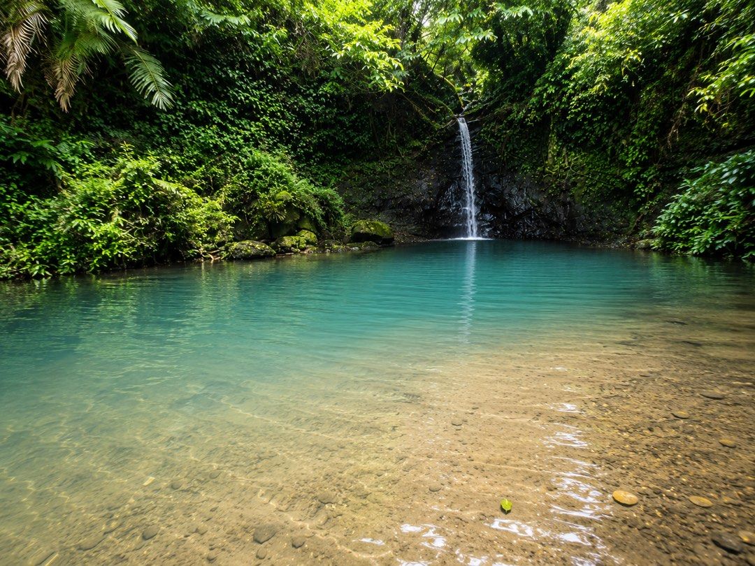 Farmlot for Sale (Category: Lot) located in Alfonso. Submitted by luxurose (Listing ID 1448861705, Image 1). Description: Farmlots for Sale!!! Property Features: 🌳 Flat and usable farm lots 🥭 Existing fruit-bearing trees 🌊 Natural river within the property area ❄️ Cool and refreshing Alfonso climate 🛣️ Near major roads and essential establishments 🏡 Ideal for a future home, vacation retreat, or farm investment 📍 Just 8 minutes from the town