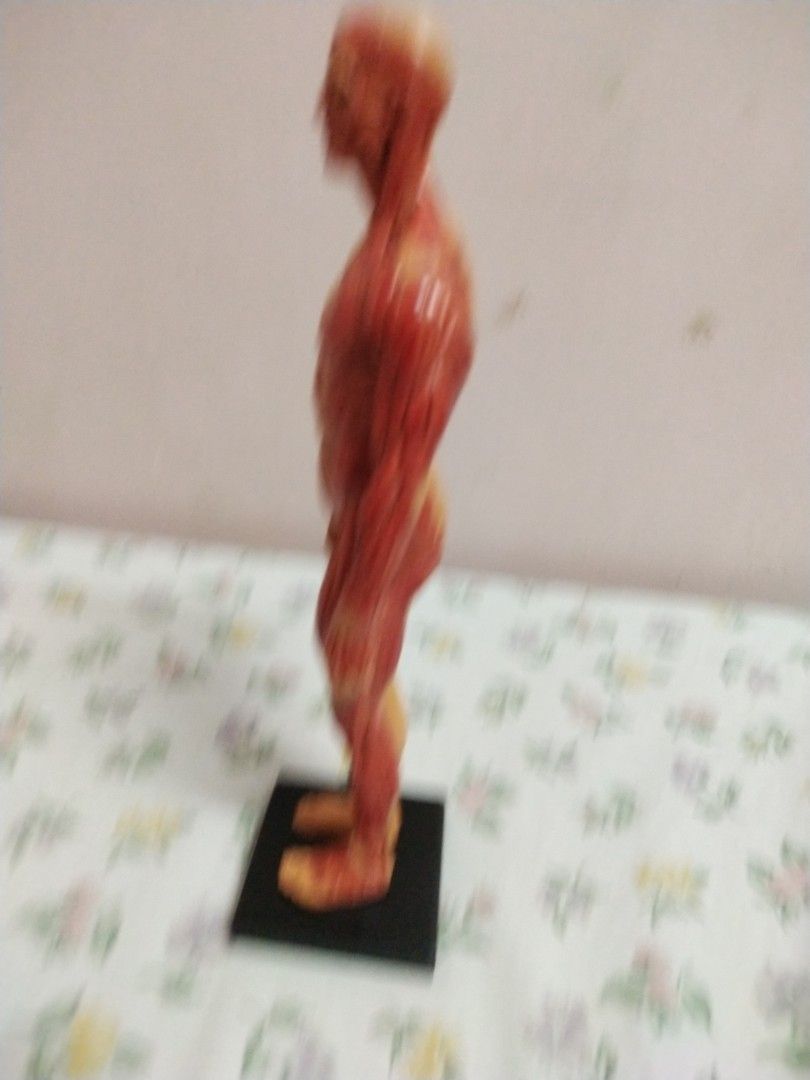 Human Anatomy Muscle Model - Torso and Limbs (Category: Medical Supplies & Tools) located in Manila. Submitted by olap.santos (Listing ID 1448835108, Image 2). Description: - Detailed human musculature model - One side shows skin and surface form - Other side reveals underlying muscles - Ideal for educational purposes or display - Includes a sturdy black base.