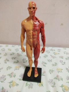 (Category: ) located in . Submitted by olap.santos (Listing ID 1448835108, Image 1). Description: .
