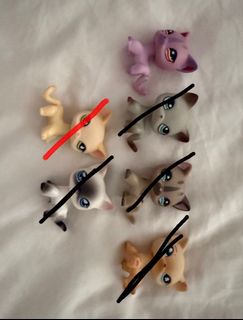 (Category: ) located in . Submitted by glitterfartbomb (Listing ID 1446579213, Image 1). Description: .