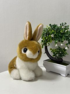 (Category: ) located in . Submitted by plushpop (Listing ID 1448874994, Image 1). Description: .