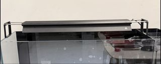 (Category: ) located in . Submitted by dap.lian (Listing ID 1448738929, Image 1). Description: .