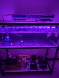 (Category: ) located in . Submitted by zulkenet (Listing ID 1448813407, Image 1). Description: .