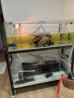 (Category: ) located in . Submitted by aishahhhs (Listing ID 1448897159, Image 1). Description: .