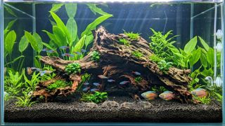 (Category: ) located in . Submitted by elmohi5 (Listing ID 1448946063, Image 1). Description: .