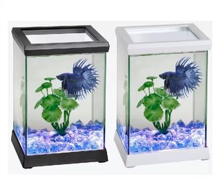 (Category: ) located in . Submitted by prawning-tackle-stall-riviera (Listing ID 1449102644, Image 1). Description: .