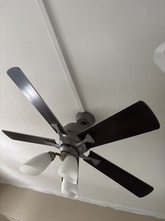 (Category: ) located in . Submitted by jig18 (Listing ID 1448960569, Image 1). Description: .
