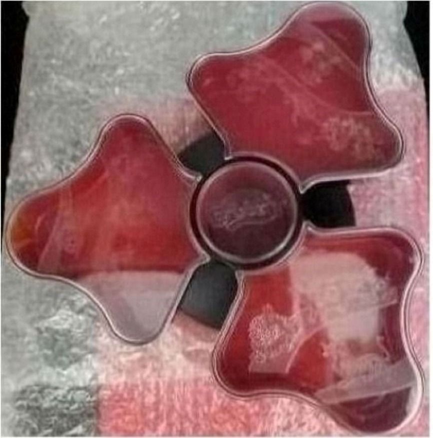 Food Organisation Tray506669216217835523
