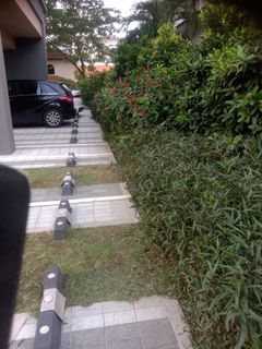 (Category: ) located in . Submitted by karups7 (Listing ID 1448908376, Image 1). Description: .