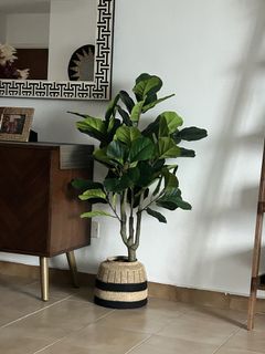 (Category: ) located in . Submitted by harlow.reine (Listing ID 1449005415, Image 1). Description: .