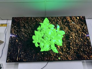 (Category: ) located in . Submitted by jhonwick70 (Listing ID 1448991184, Image 1). Description: .