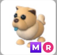 (Category: ) located in . Submitted by adoptmeprincess (Listing ID 1448976919, Image 1). Description: .
