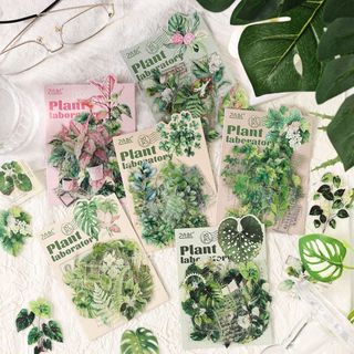 (Category: ) located in . Submitted by helloplants123 (Listing ID 1448969670, Image 1). Description: .