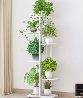 （分類：）位於 。 由 lovesshopping__ 提交（商品編號 1449024575，圖片 1）。簡介： 。