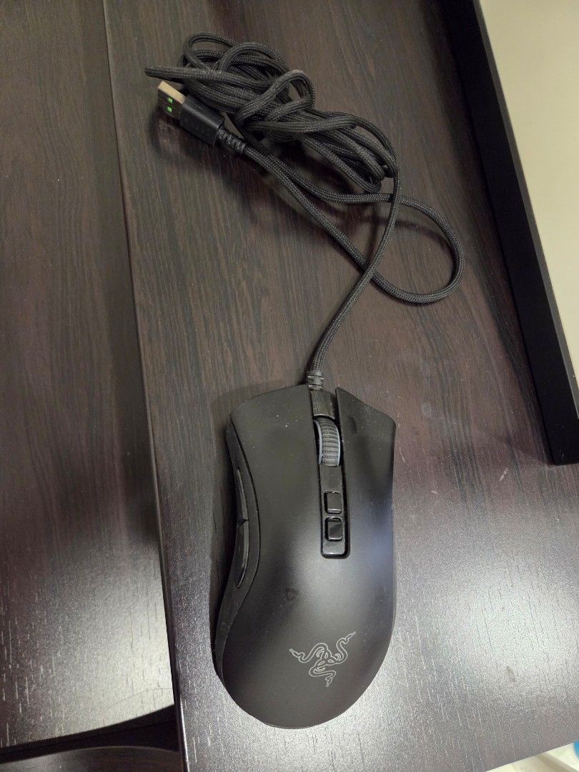 Razer DeathAdder V2 Gaming Mouse