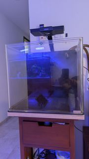 (Category: ) located in . Submitted by r042608g (Listing ID 1448995832, Image 1). Description: .