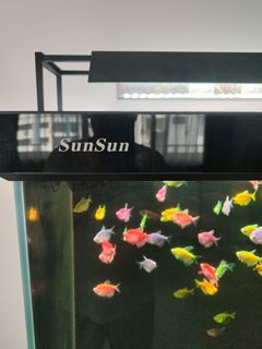 (Category: ) located in . Submitted by nguangchye2621 (Listing ID 1449000528, Image 1). Description: .