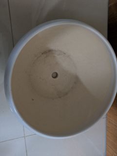 (Category: ) located in . Submitted by punggol8888 (Listing ID 1448969910, Image 1). Description: .