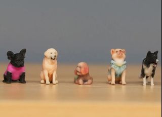 （分類：）位於 。 由 meow.studio 提交（商品編號 1449286909，圖片 1）。簡介： 。