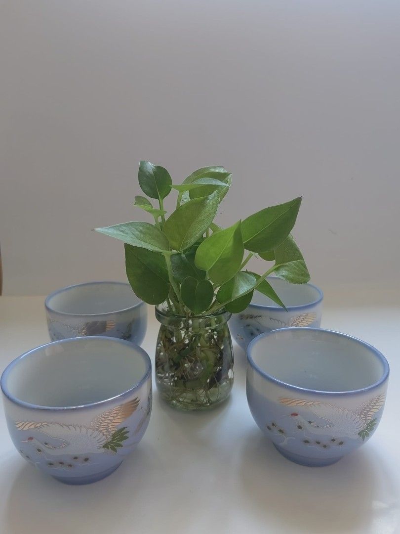 日本瓷器茶杯一套 （分類：茶具配件）位於 Hong Kong。 由 mysticstone.cdf6ef 提交（商品編號 1449286291，圖片 3）。簡介： 一套四個日本瓷器茶杯，上面有鶴同埋花嘅圖案，顏色係淺藍色。杯底有寫住「日本」字樣。適合飲茶用，擺設都好睇。。