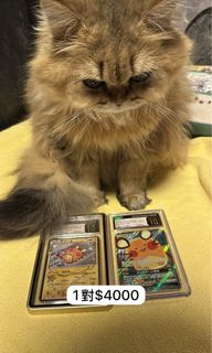 （分類：）位於 。 由 heiyip 提交（商品編號 1443928939，圖片 1）。簡介： 。