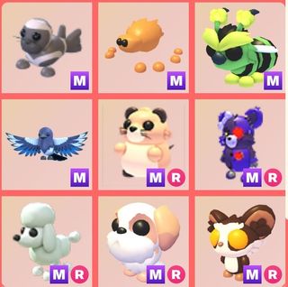 (Category: ) located in . Submitted by adoptmeprincess (Listing ID 1448178776, Image 1). Description: .