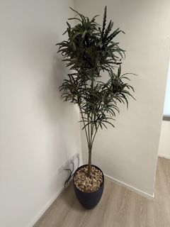 (Category: ) located in . Submitted by iec.sg (Listing ID 1449114573, Image 1). Description: .