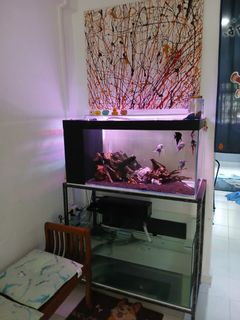 (Category: ) located in . Submitted by xxeeeee (Listing ID 1449281407, Image 1). Description: .