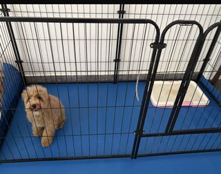 (Category: ) located in . Submitted by LeleCoca (Listing ID 1449139220, Image 1). Description: .