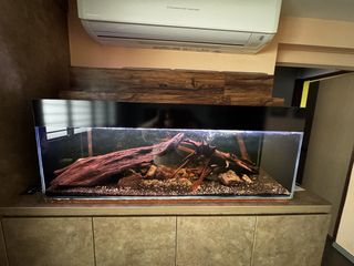 (Category: ) located in . Submitted by cuttiepie (Listing ID 1449149236, Image 1). Description: .