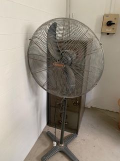 (Category: ) located in . Submitted by whaales (Listing ID 1449116524, Image 1). Description: .
