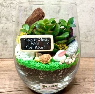 (Category: ) located in . Submitted by lushglassdoor (Listing ID 1449155254, Image 1). Description: .