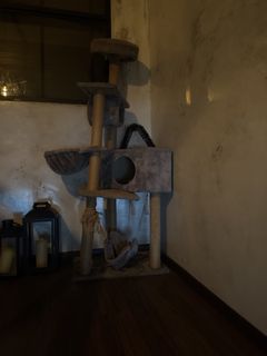 (Category: ) located in . Submitted by dnnkphgjrd (Listing ID 1449203211, Image 1). Description: .