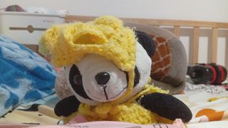 (Category: ) located in . Submitted by taaniya_039 (Listing ID 1449153804, Image 1). Description: .