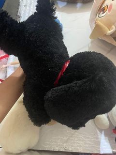 (Category: ) located in . Submitted by aiza._. (Listing ID 1449297878, Image 1). Description: .