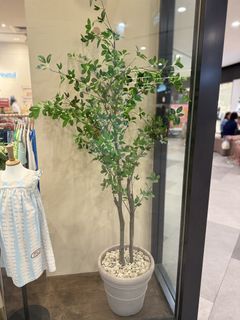 (Category: ) located in . Submitted by iec.sg (Listing ID 1449114872, Image 1). Description: .