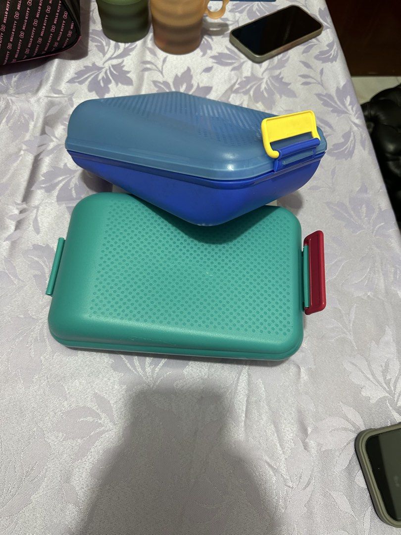 Tupperware container/organizer