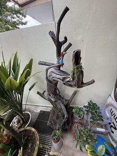 (Category: ) located in . Submitted by nck63 (Listing ID 1449152753, Image 1). Description: .