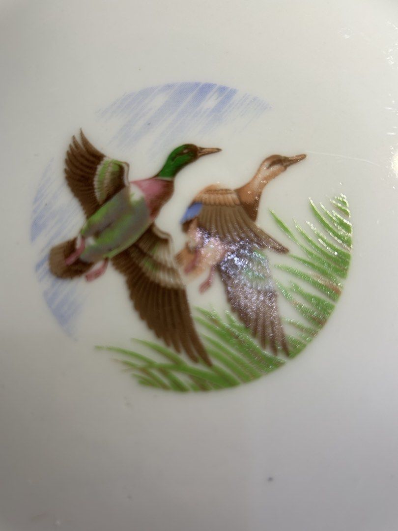 Vintage Plates (Category: Dinnerware & Cutlery) located in Caloocan City. Submitted by ksshboutique (Listing ID 1449238961, Image 3). Description: 370 each, 5pcs available Vintage / Antique These vintage plates typically feature mallard ducks, harvest, fruit, or floral motifs. 💕.