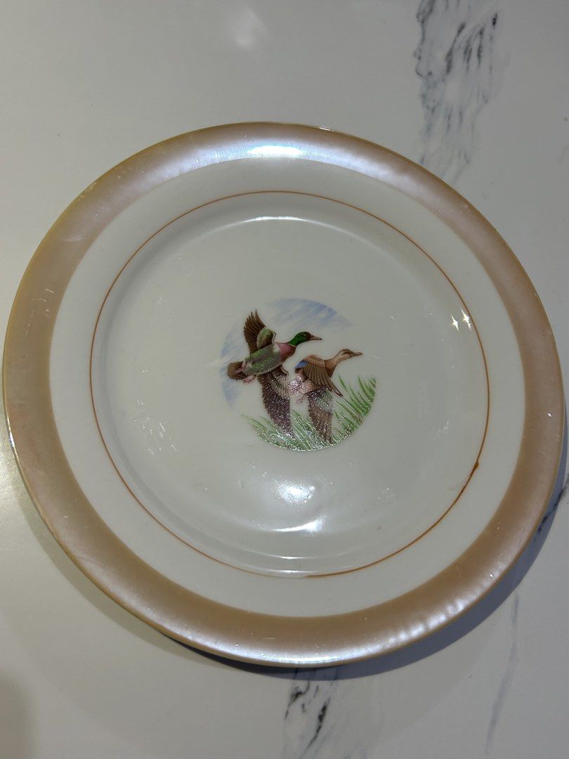Vintage Plates (Category: Dinnerware & Cutlery) located in Caloocan City. Submitted by ksshboutique (Listing ID 1449238961, Image 1). Description: 370 each, 5pcs available Vintage / Antique These vintage plates typically feature mallard ducks, harvest, fruit, or floral motifs. 💕.