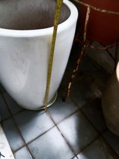 (Category: ) located in . Submitted by grandmaho (Listing ID 1449144414, Image 1). Description: .