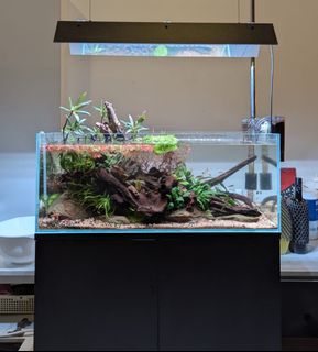 (Category: ) located in . Submitted by ascape (Listing ID 1449346397, Image 1). Description: .