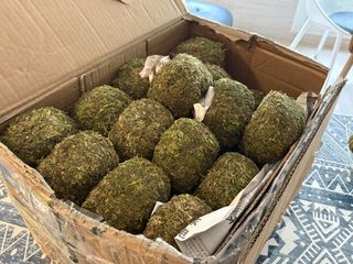 （分類：）位於 。 由 parttime_cleaner 提交（商品編號 1449404022，圖片 1）。簡介： 。