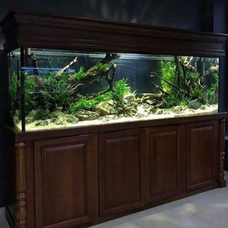 (Category: ) located in . Submitted by ascape (Listing ID 1446182639, Image 1). Description: .