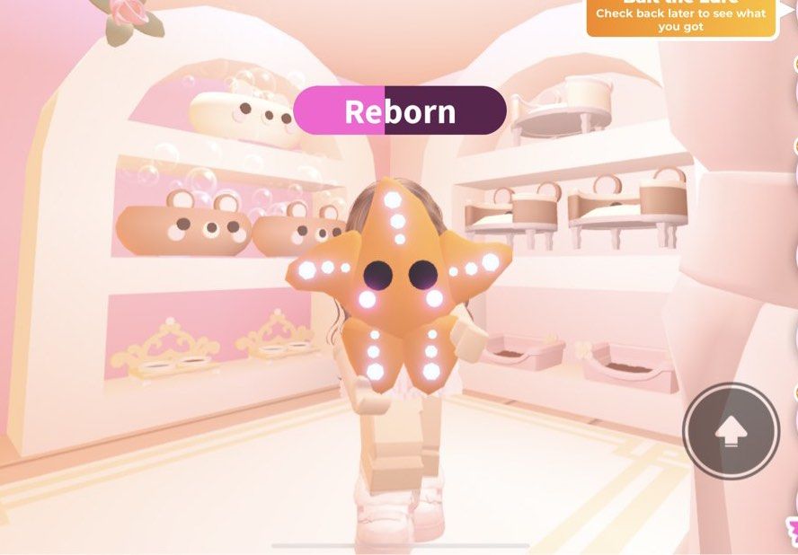 Adopt me nfr starfish cute pet (Category: Others) located in Taguig. Submitted by mia.thrift (Listing ID 1449421734, Image 1). Description: dm to order or if interested !.