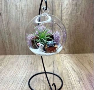 (Category: ) located in . Submitted by lushglassdoor (Listing ID 1449370187, Image 1). Description: .
