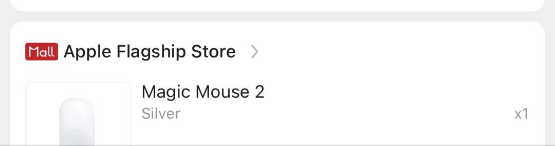 Apple Magic Mouse 2 - Silver507965068469217282
