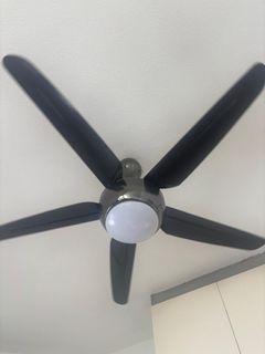 (Category: ) located in . Submitted by legger (Listing ID 1449455098, Image 1). Description: .
